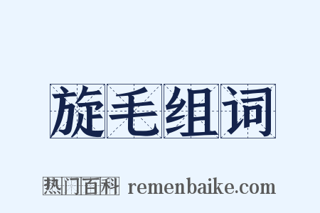 旋毛组词是什么意思的图片